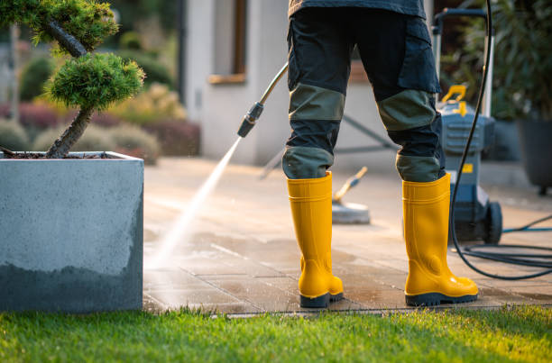 Best Pressure Washing Driveway  in Herald Harbor, MD
